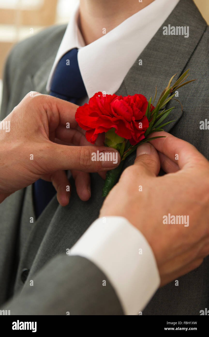 Bester Mann passt des Bräutigams Knopfloch auf der Tag der Hochzeit. Stockfoto