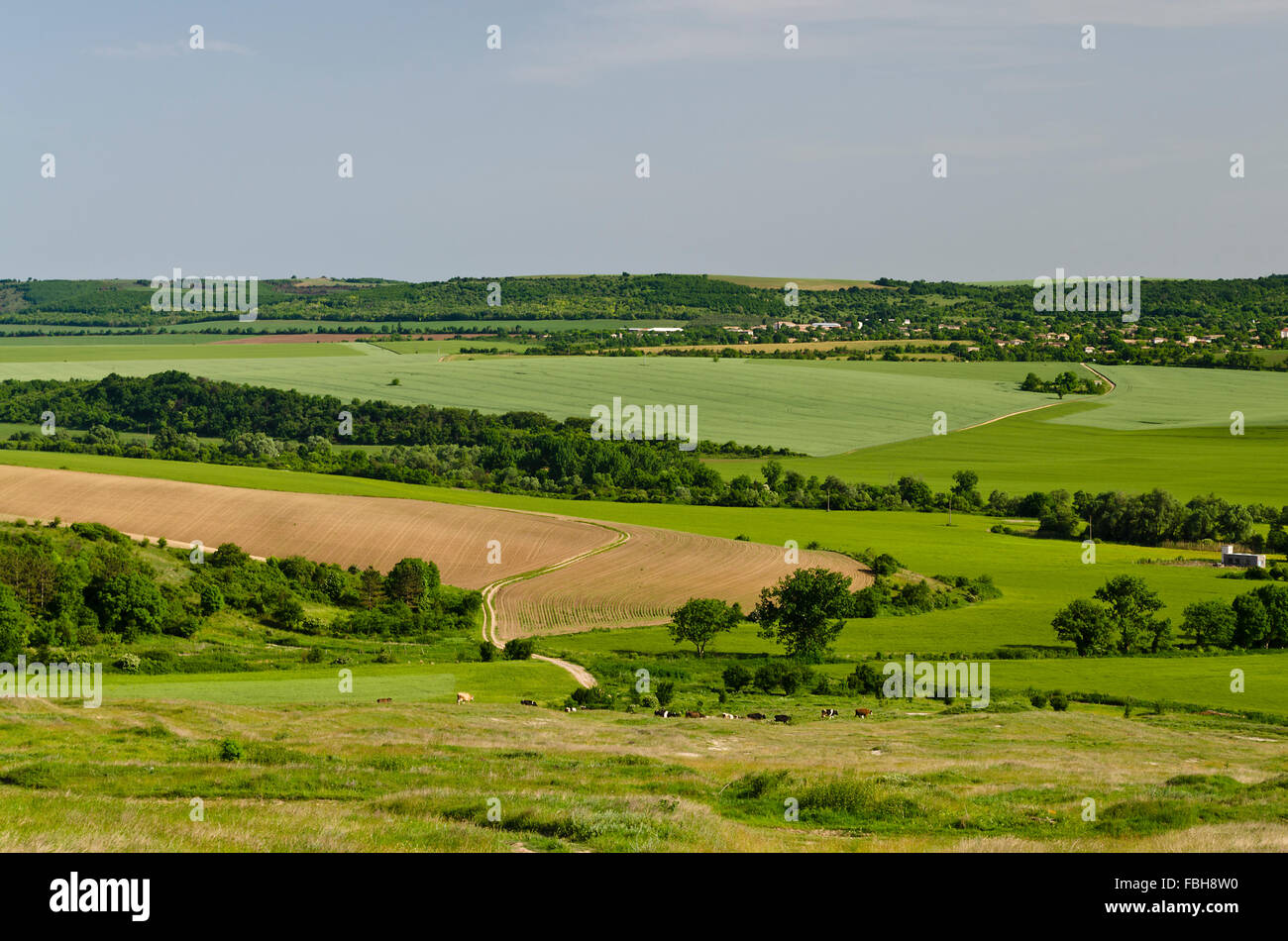 Sonnigen blauen Himmel, Wiese und einem Hügel nahe dem Dorf Katselovo Stockfoto