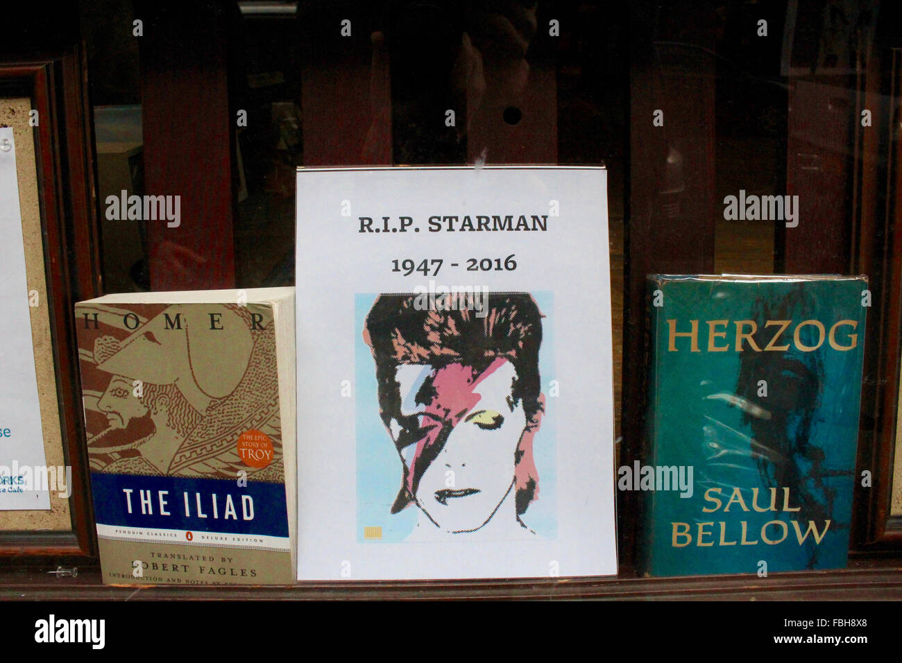 David Bowie Memorial Buch Display Gehäuse Werke Nächstenliebe Buchhandlung Manhattan 10012 Stockfoto