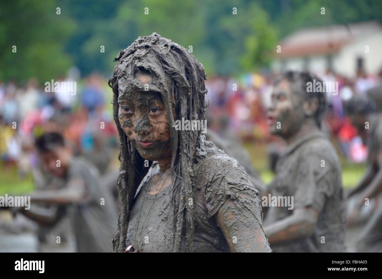 Reis Pflanzen festival Stockfoto