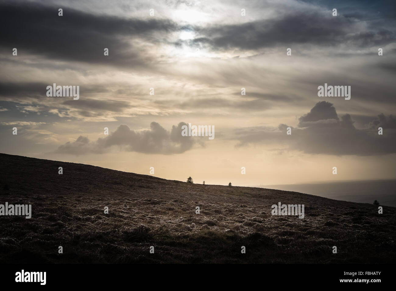 Preseli-Berge in Pembrokeshire, winter Horizont Blick Richtung Rosenstrauch. Stockfoto