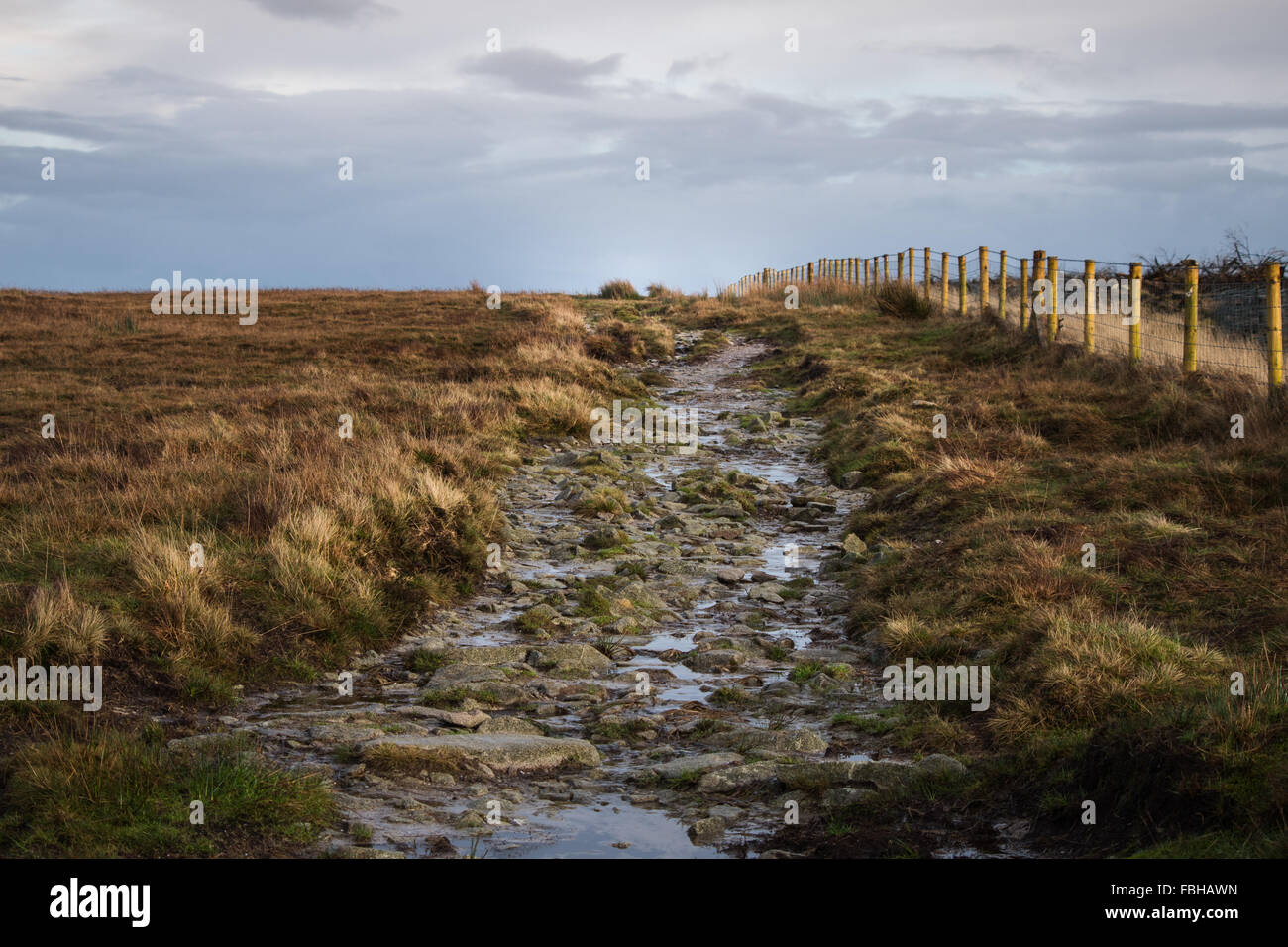 Die Goldene Straße Preseli-Berge-Pembrokeshire U.K. Stockfoto