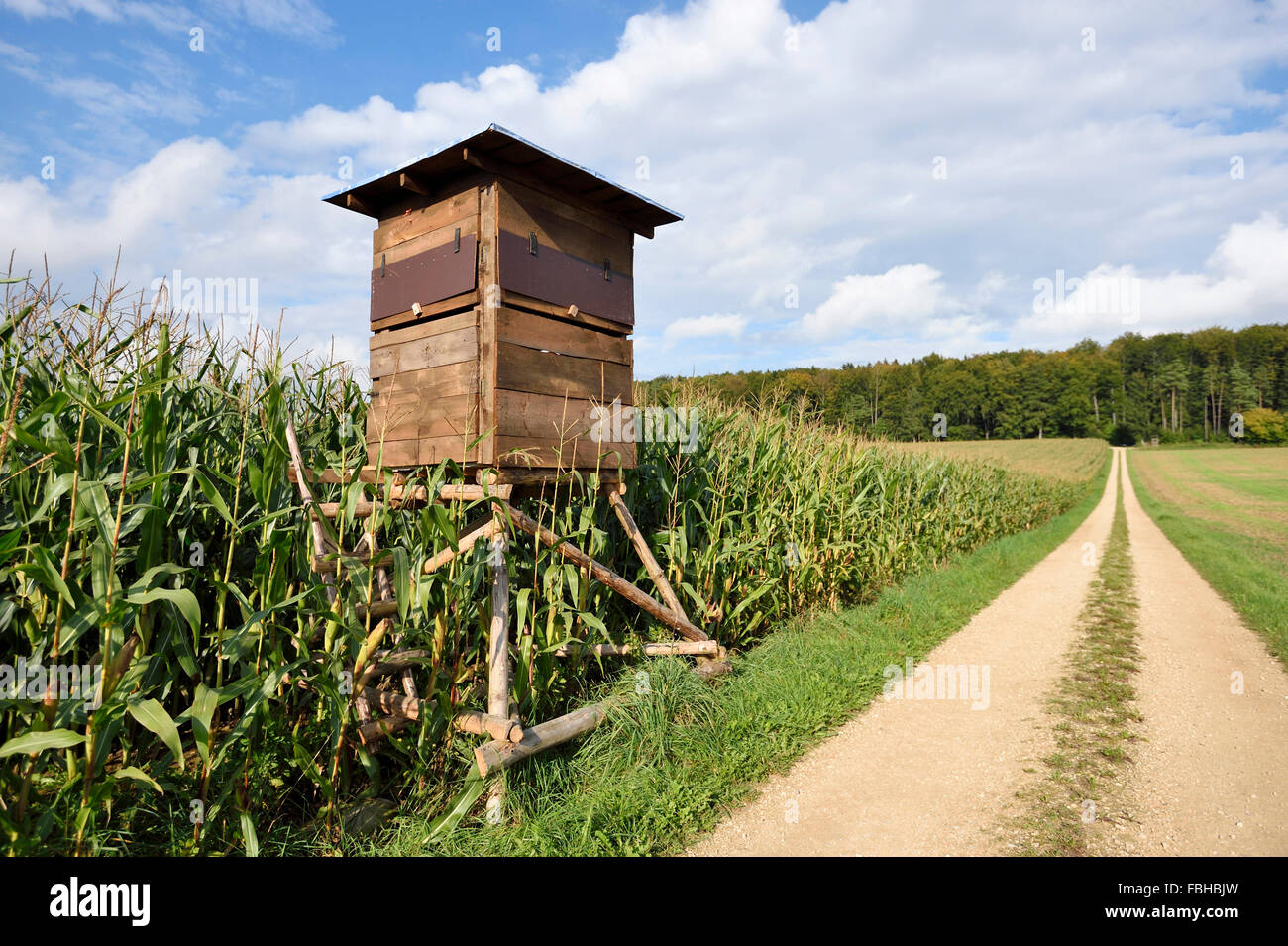 Landschaft, Feldweg, Ansitz Stockfoto