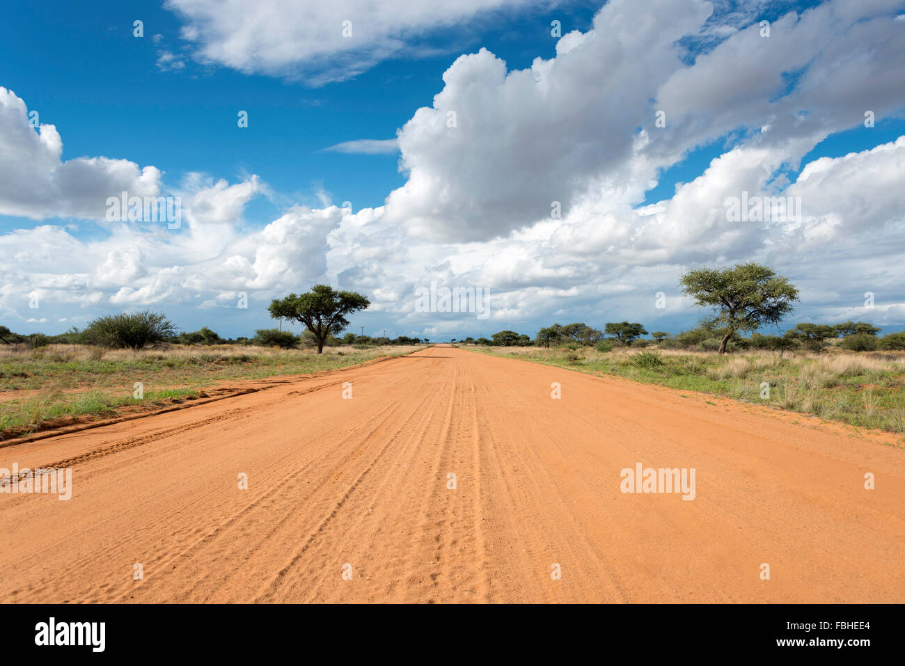 Unbefestigte Straße, Solitaire, Wüste Namib, Namib-Naukluft-Park, Republik Namibia Stockfoto