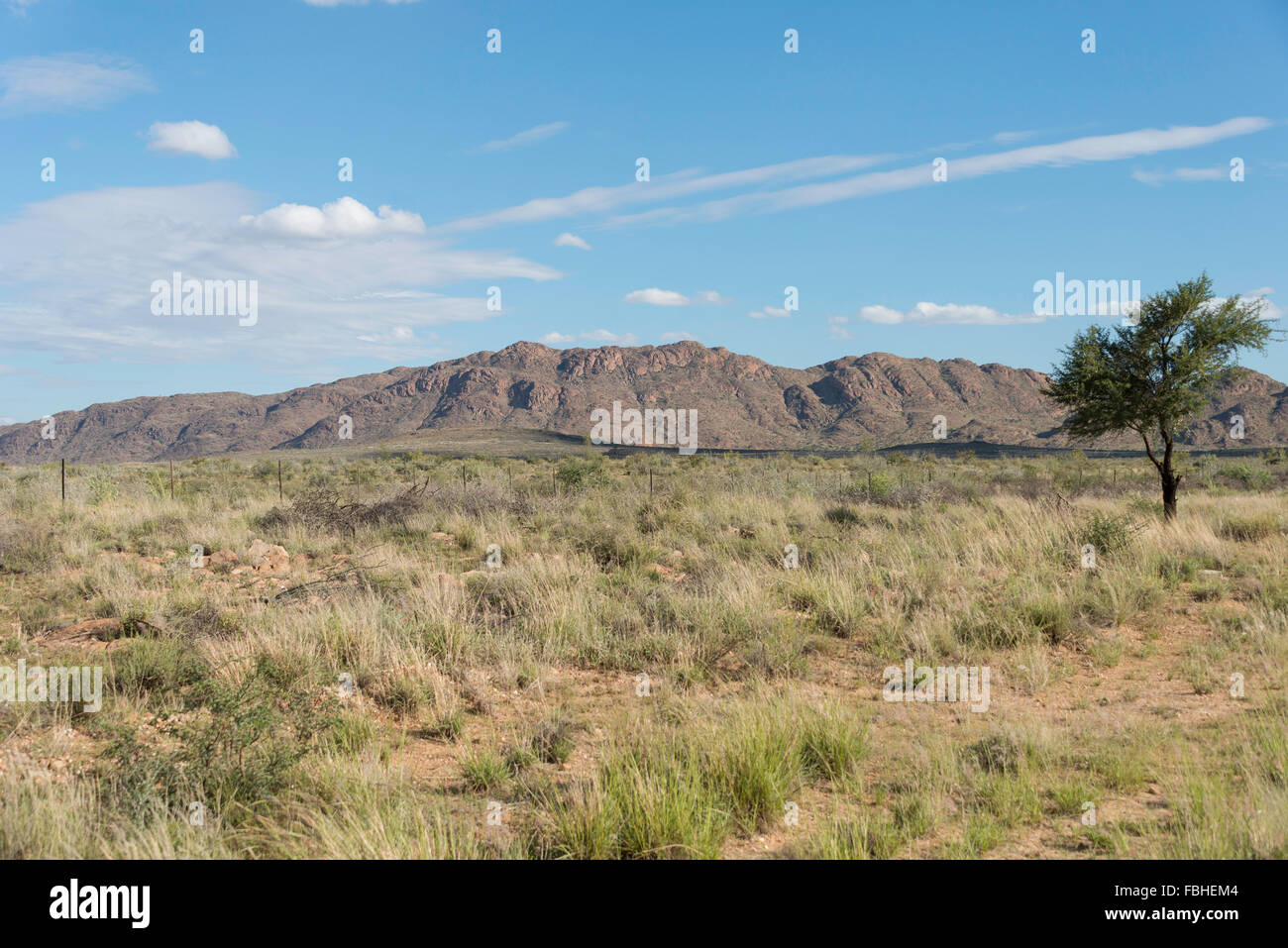 Namib-Naukluft-Park, Solitaire, Namib-Wüste, Republik Namibia Stockfoto