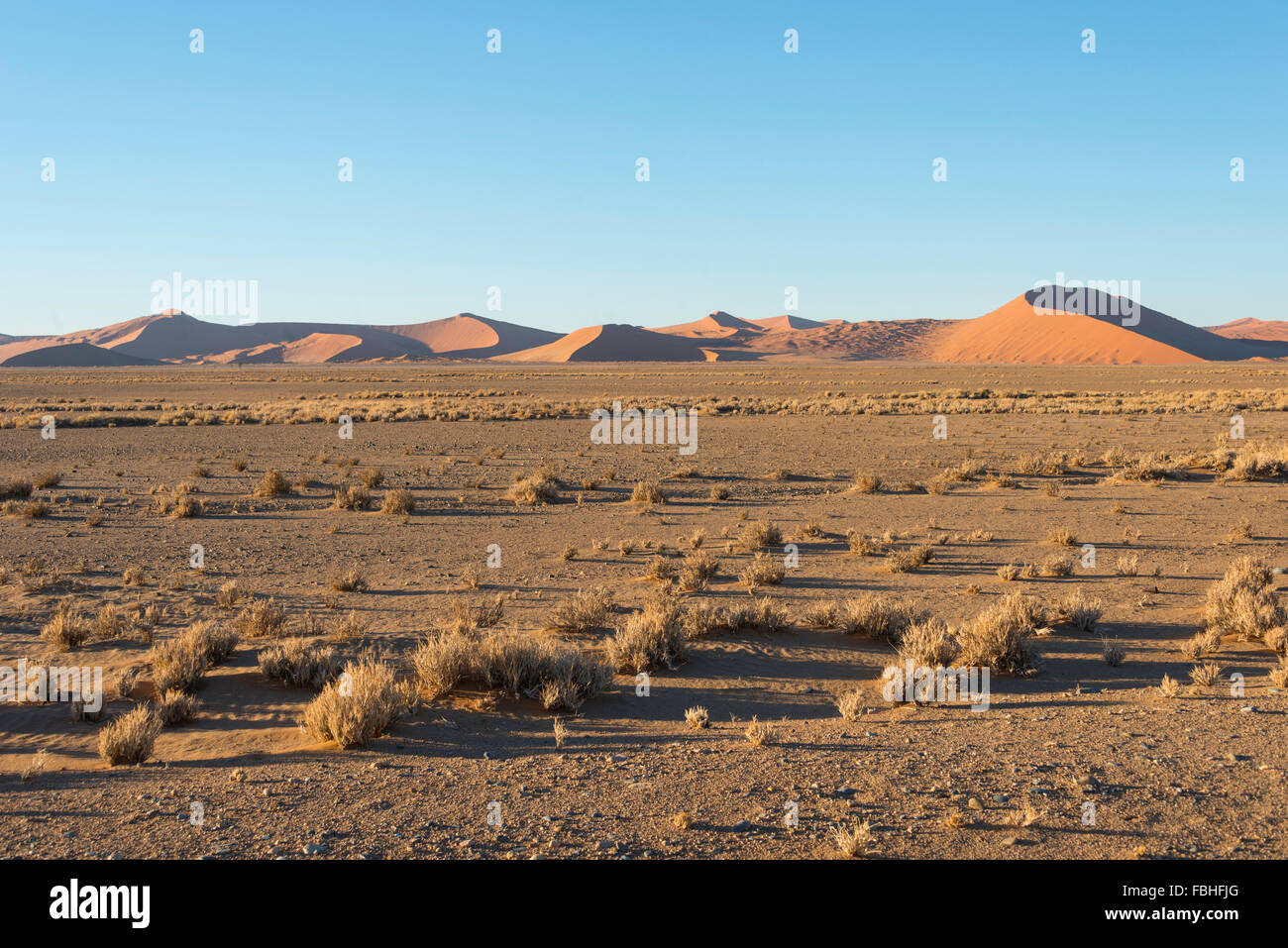 Wüste Szene, Namib-Naukluft-Park, Namibwüste, Republik Namibia Stockfoto