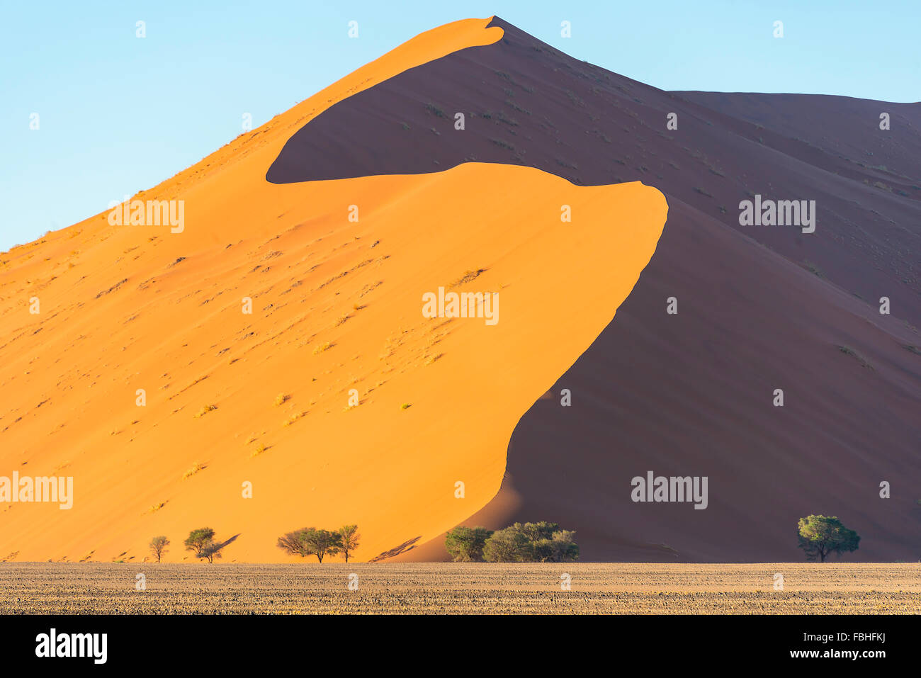 Düne am Sonnenaufgang, Sossusvlei, Namib-Wüste, Namib-Naukluft-Park, Hardap Region Republik Namibia Stockfoto