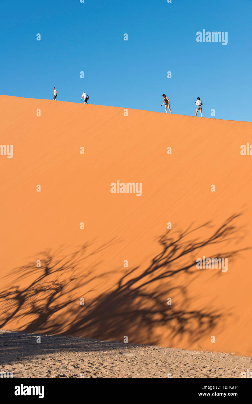 Touristen Klettern Sanddüne, Sossusvlei, Namib-Wüste, Namib-Naukluft-Park, Hardap Region Republik Namibia Stockfoto