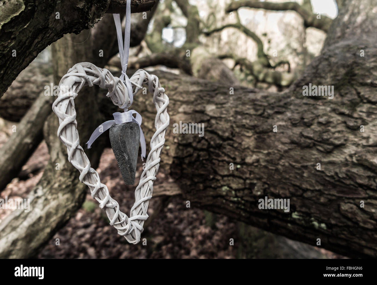 Irdisch Fotos und Bildmaterial in hoher Auflösung Alamy
