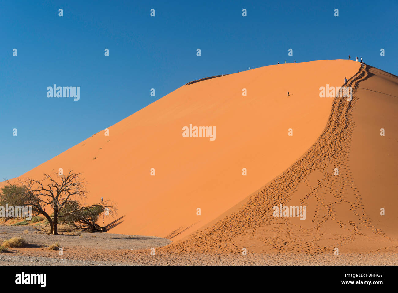 Touristen Klettern Sanddüne, Sossusvlei, Namib-Wüste, Namib-Naukluft-Park, Hardap Region Republik Namibia Stockfoto