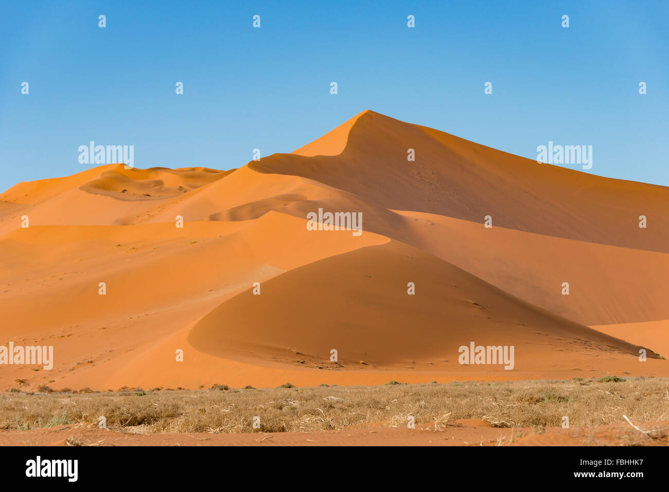 Dünenlandschaft, Sossusvlei, Namib-Wüste, Namib-Naukluft-Park, Hardap Region Republik Namibia Stockfoto