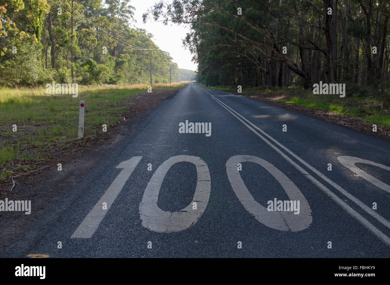 Eine lange, gerade Straße von 100kmph mit dichtem Busch und hohen Eukalyptusbäumen auf beiden Seiten in New South Wales, Australien Stockfoto