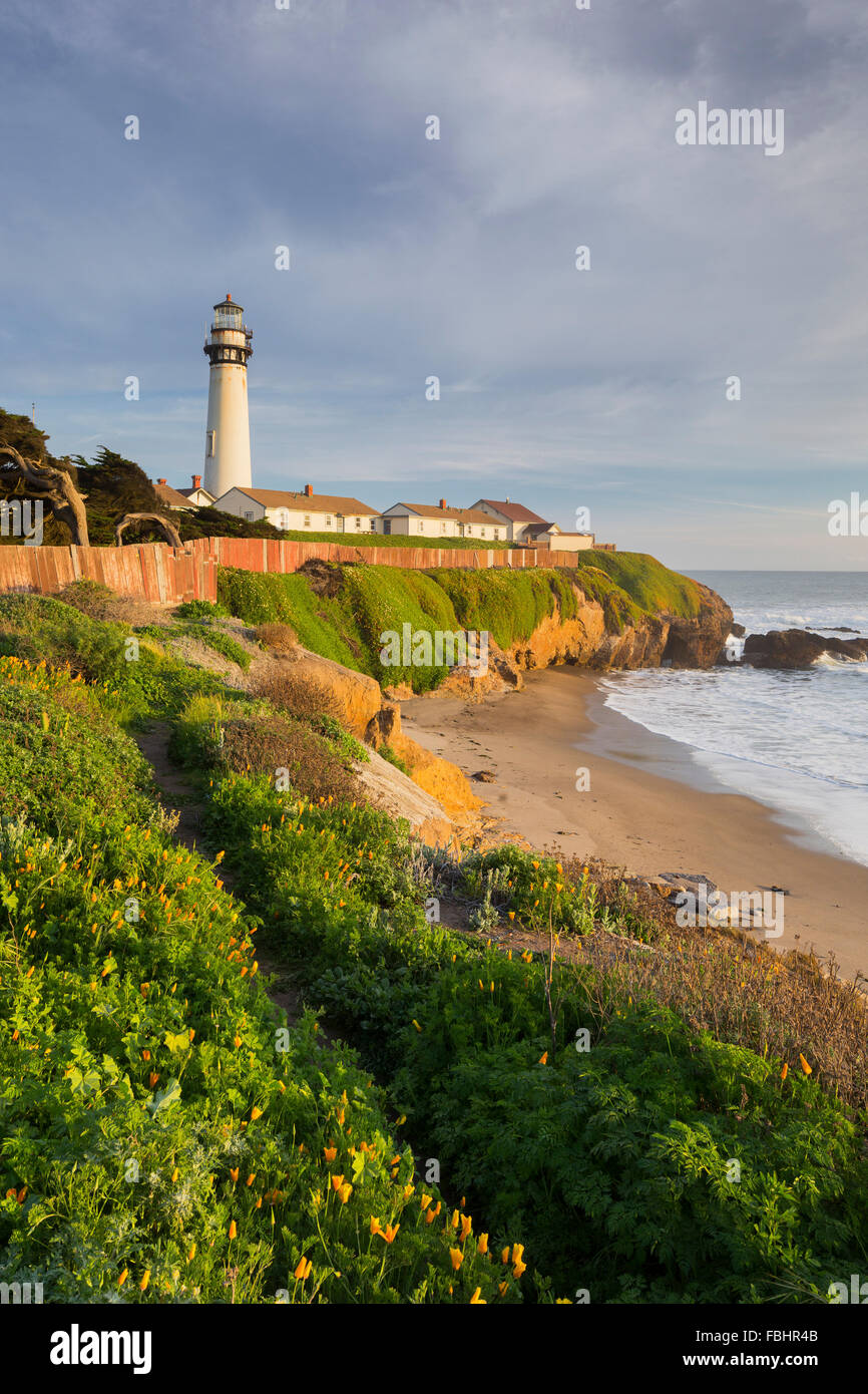 Pigeon Point Lighthouse, Cabrillo Highway 1, Kalifornien, USA Stockfoto