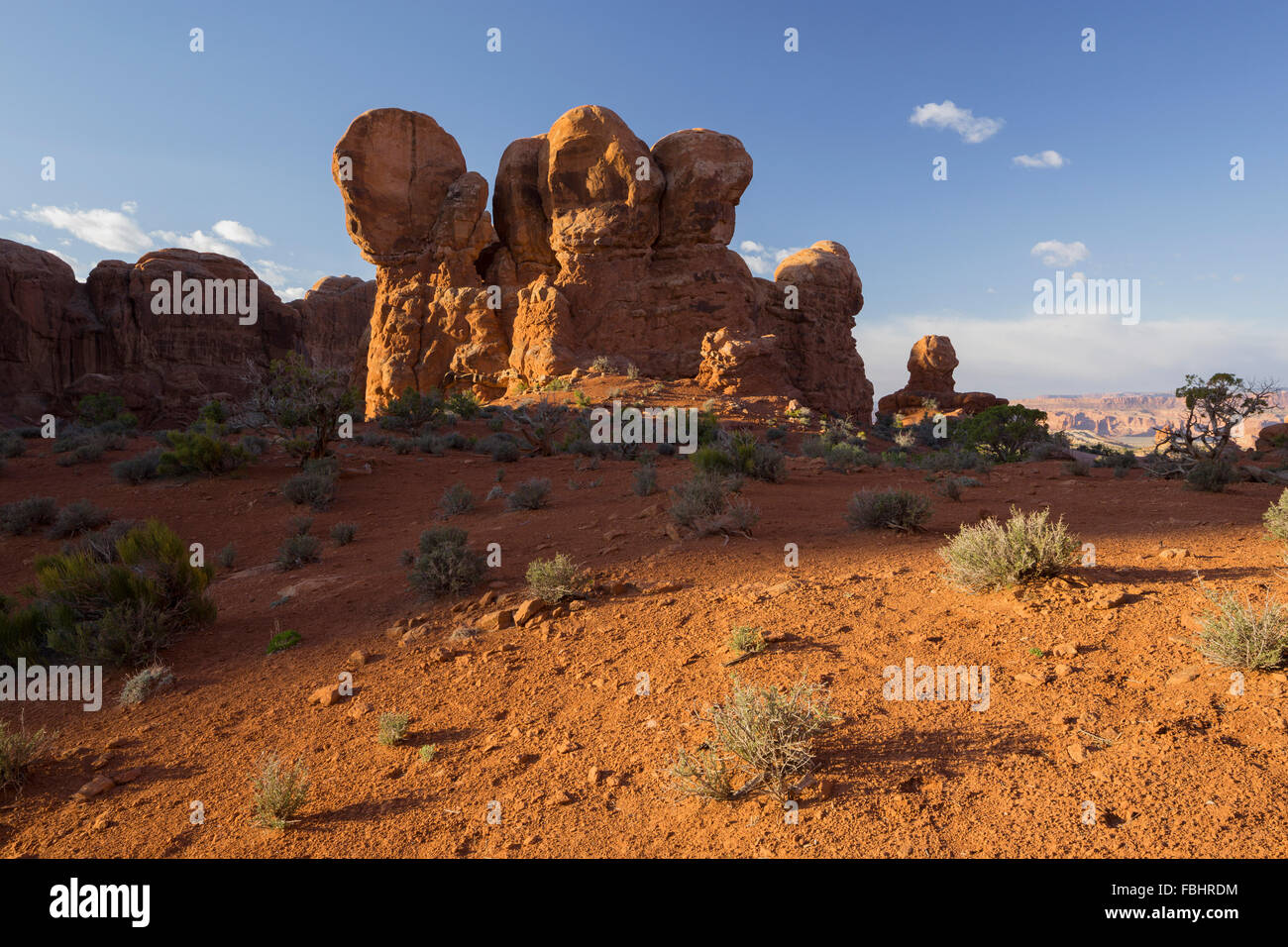 Sandstein-Formationen, Garten Eden, Elephant Butte, Arches-Nationalpark, Moab, Utah, USA Stockfoto