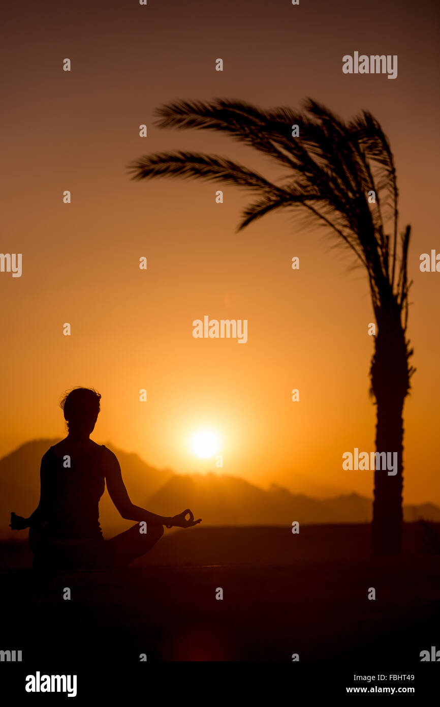 Silhouette der jungen Frau praktizieren Yoga in wunderschönen tropischen Lage mit Bergen, sitzen neben Palme in Sukhasana e Stockfoto