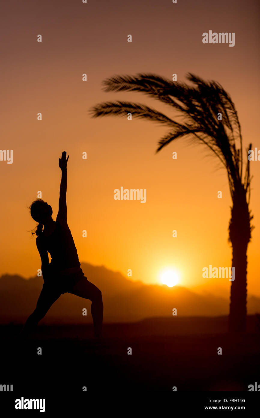 Silhouette der jungen Frau tun Longe Übungen, Fitness, Yoga oder Pilates training, stehend in Reverse Krieger stellen bei Sonnenuntergang ich Stockfoto