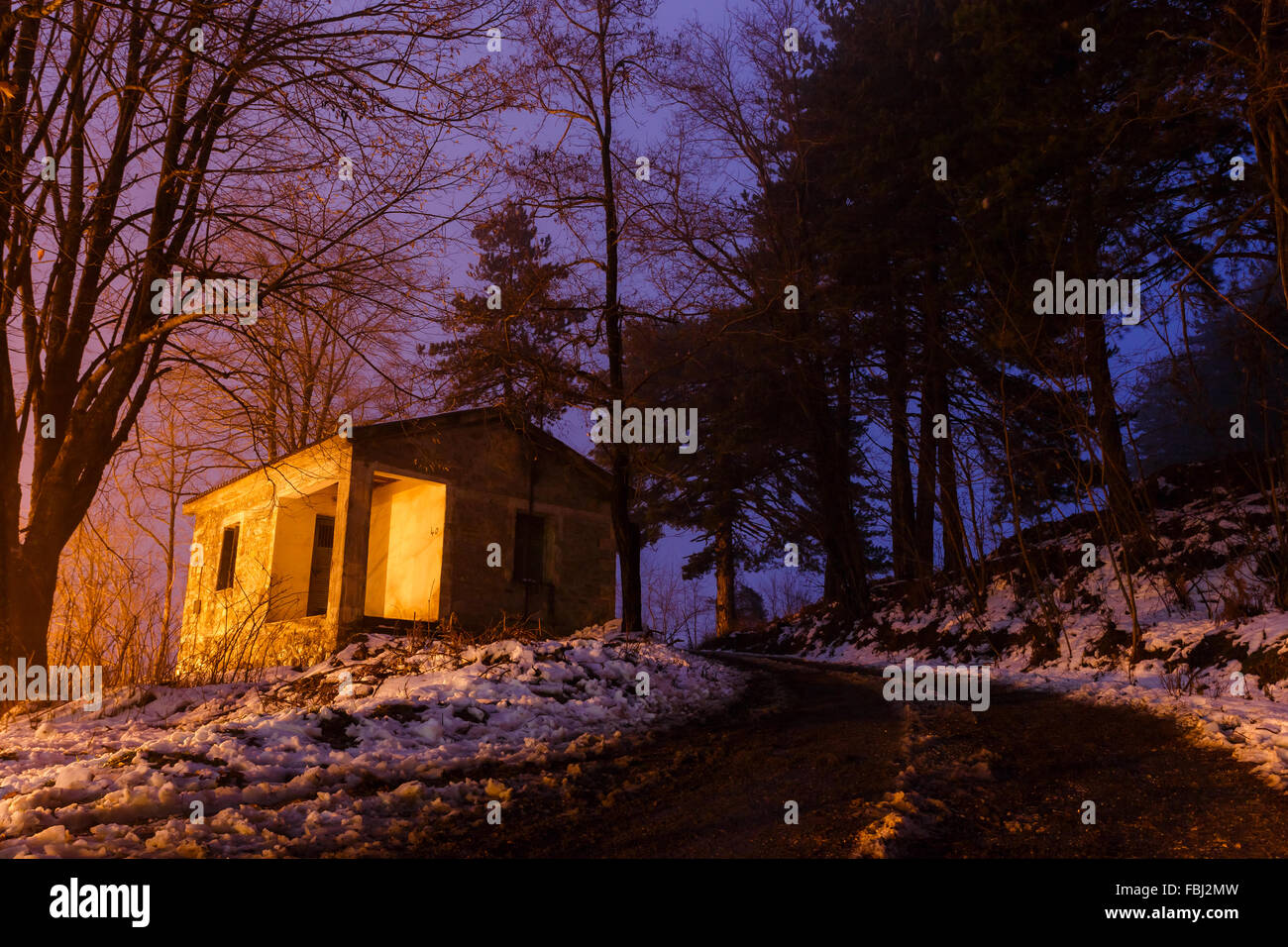 Schönes warmes Licht und Schatten im Sonnenuntergang mit Bäumen, Winter-Szene in Griechenland Stockfoto