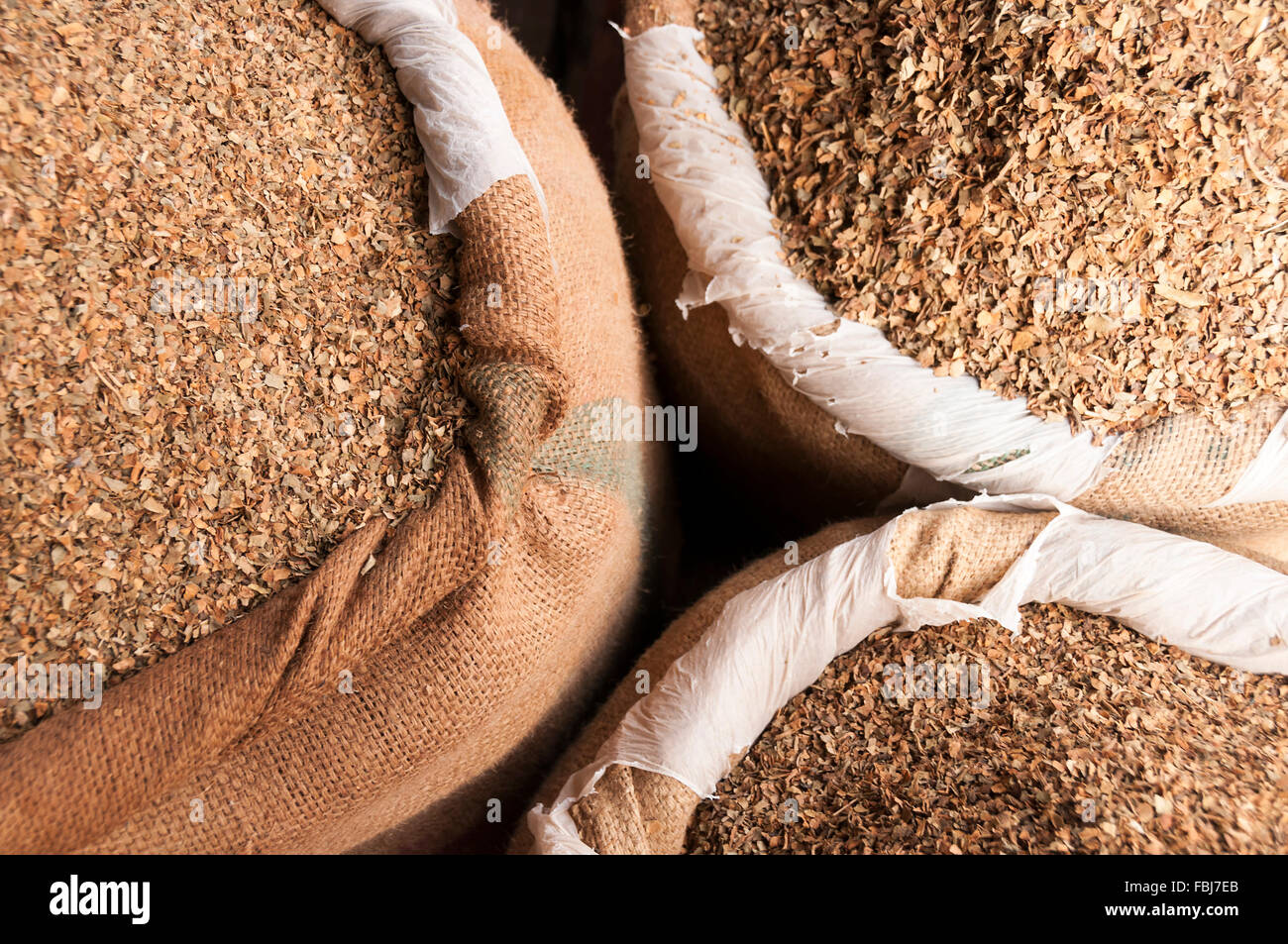 Verschiedene Arten von getrockneten Tabak auf dem indischen Markt Stockfoto