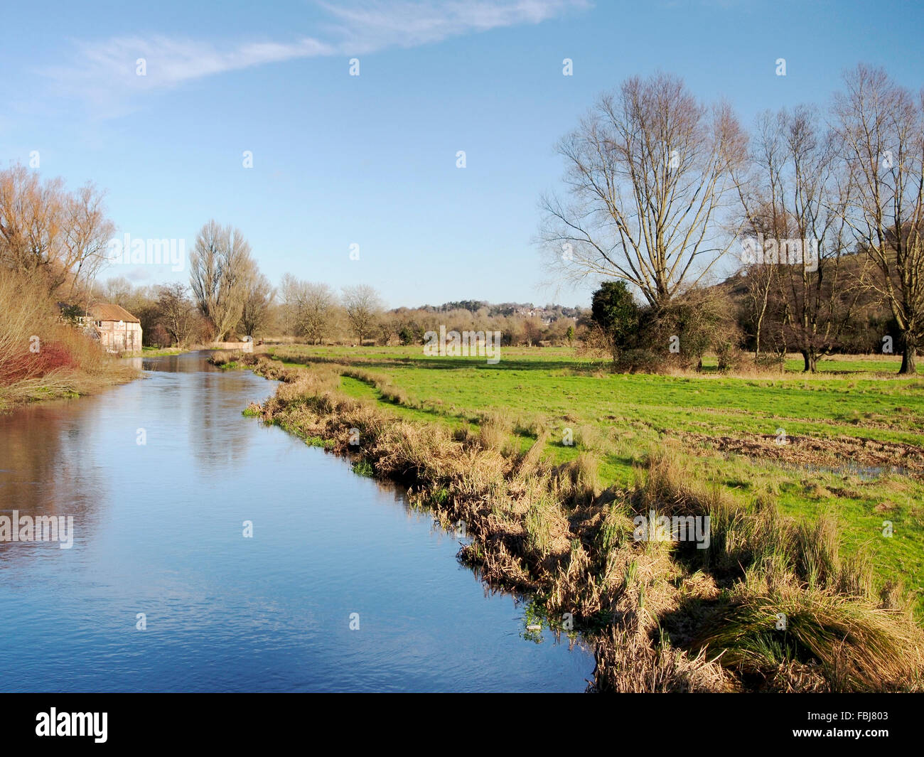 Auen in der Flussaue der Fluss Itchen Valley am St Cross, Winchester im Januar Stockfoto
