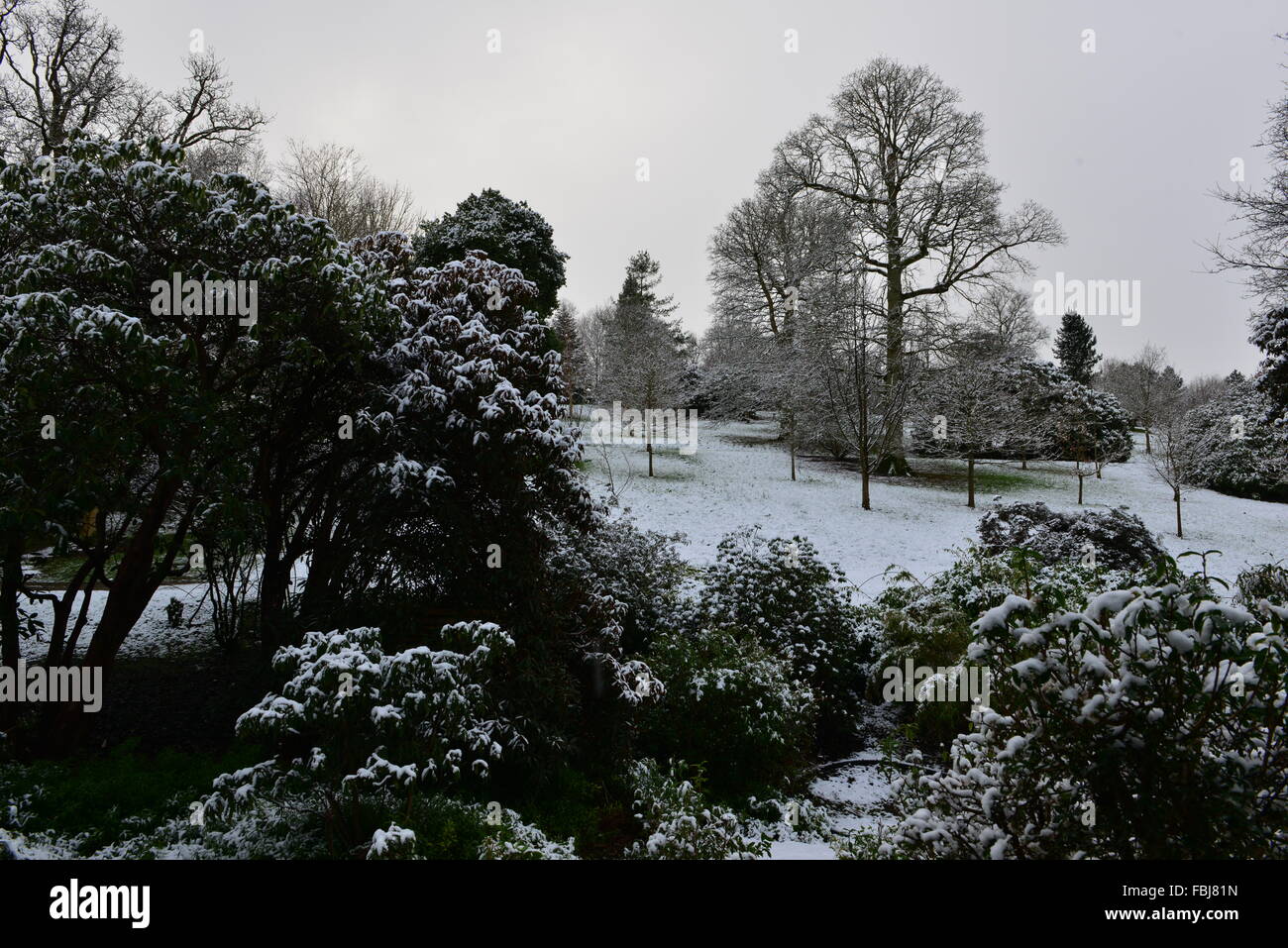 Eine Winterlandschaft in Surrey im Januar 2016 Stockfoto