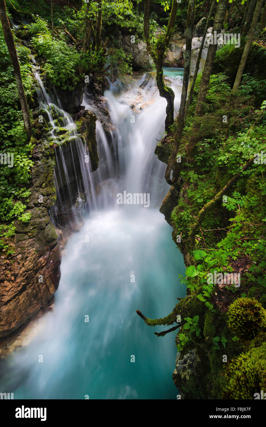 Slowenien, Klee, Wasserfall, Kleeblatt, Berge, Nationalpark Triglav, Stockfoto