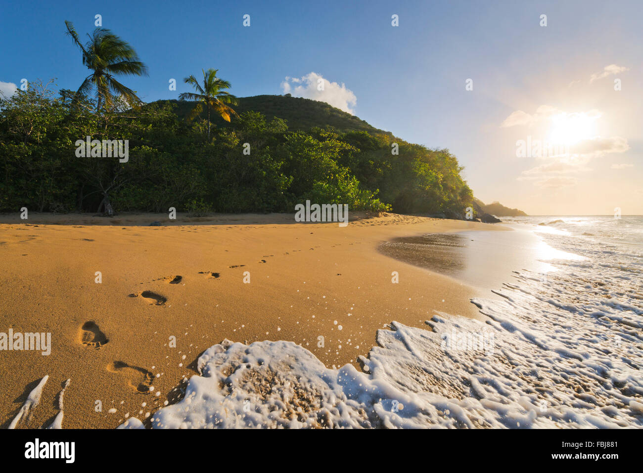 Karibik, Guadeloupe, Frankreich, Insel, Paradies, tropisch, Strand, Meer, Palmen, Sonne, Sand, Spuren, barfuß, Schaum, Wellen, Meer, Landschaft, wegwerfen Stockfoto