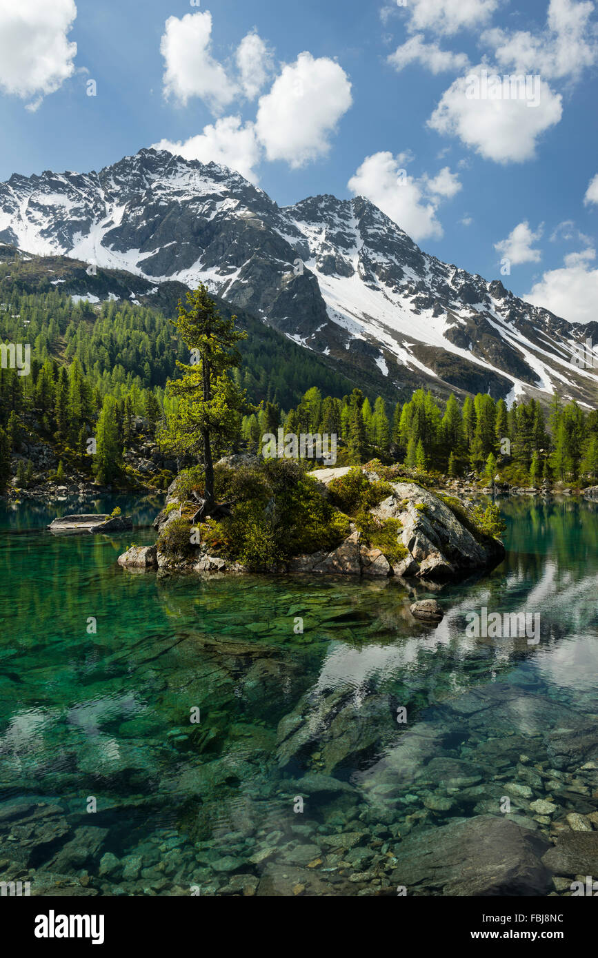 Schweiz, Engadin, Alpen, Bergsee, klare, türkisfarbene, alpine, Wald, Bäume, Insel, blau, Wolken, Schnee, Frühling, grün, frisch, Panorama, Felsen, Landschaft, idyllisch, Berg, Berge, Lago Saoseo, Natur Stockfoto