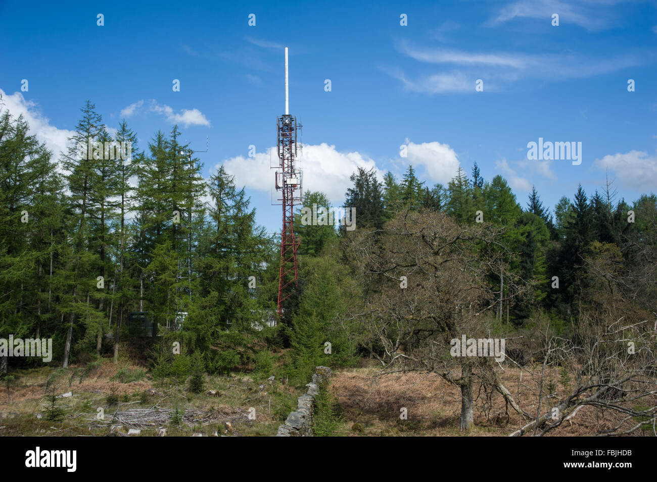 Telekommunikation-Mast auf Claife Heights Cumbria Stockfoto