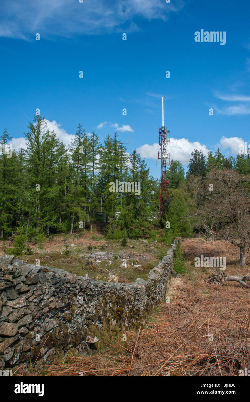 Telekommunikation-Mast auf Claife Heights Windermere Stockfoto