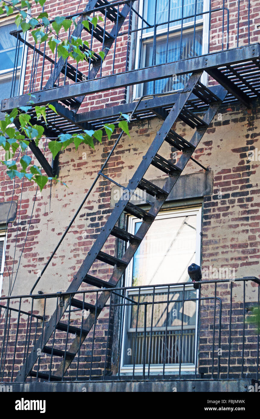 New York, USA: eine Krähe auf einem Balkon auf High Line, eine lineare Park auf einer erhöhten Abschnitt einer stillgelegten Eisenbahnlinie gebaut Stockfoto