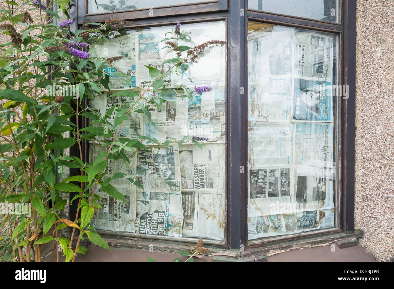 Zeitungen auf innerhalb des Hauses Fenster mit Blick auf verwilderten Garten. UK Stockfoto