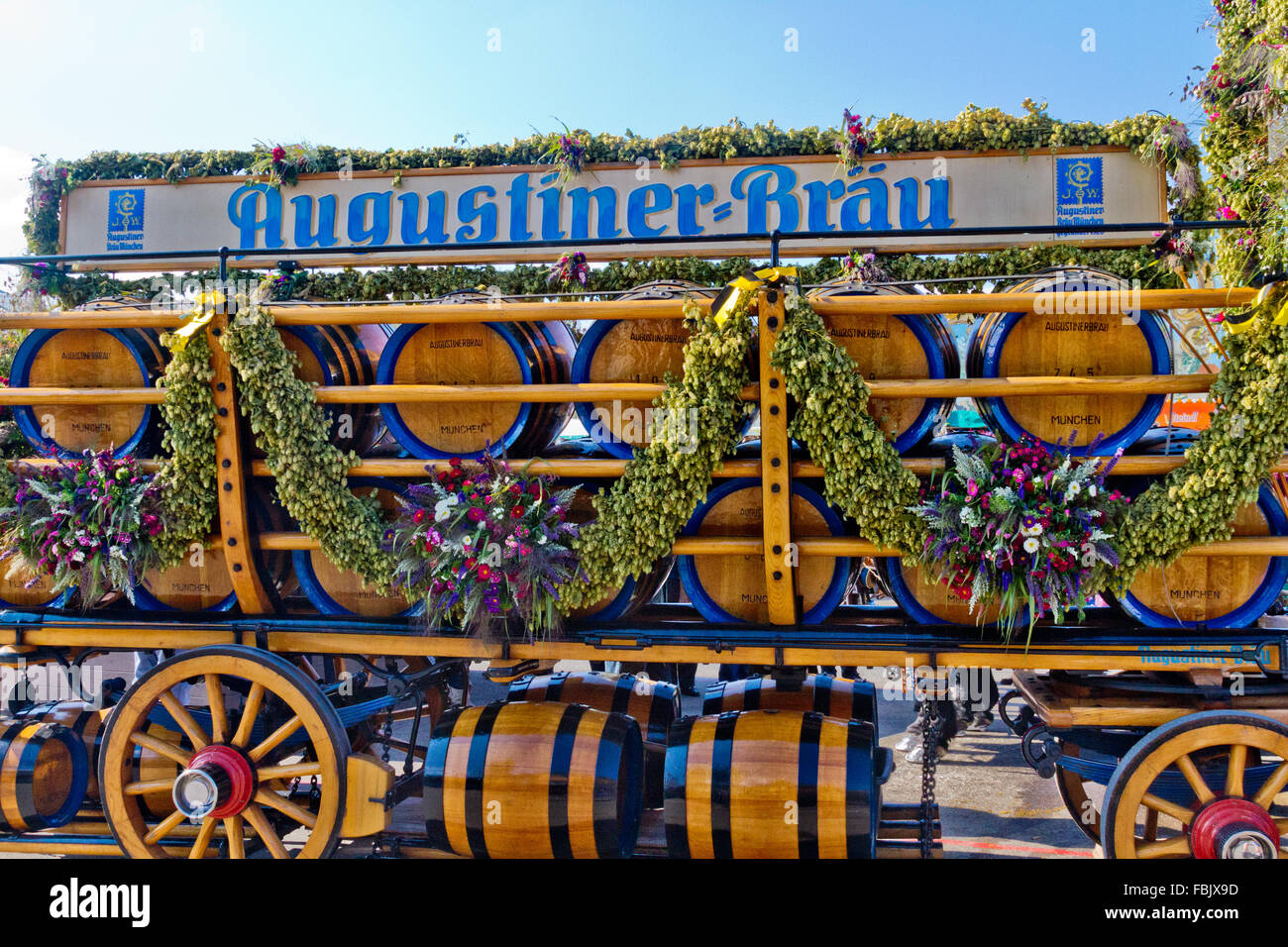 dnger drachenbaum Drachenbaum Erde mit Dnger