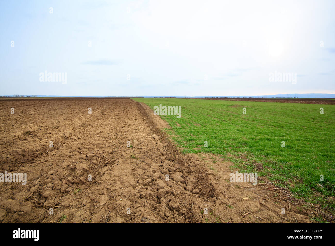 Ein Feld in eine pannonische Ebene Stockfoto