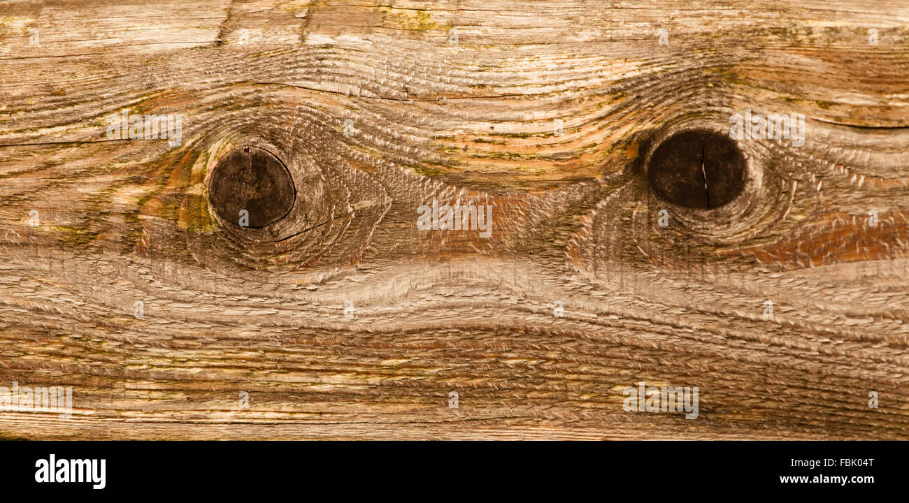 Alte braune Holz Textur Hintergrund (mit Knoten im Holz). Stockfoto