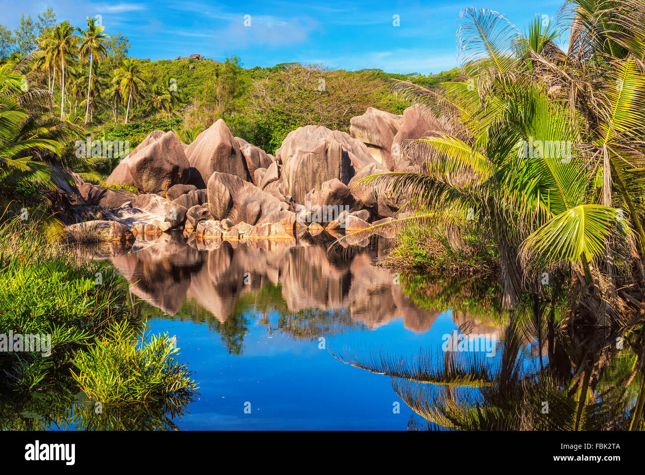 Palmen und Felsen am Spiegelsee im Dschungel der Seychellen, La Digue island Stockfoto