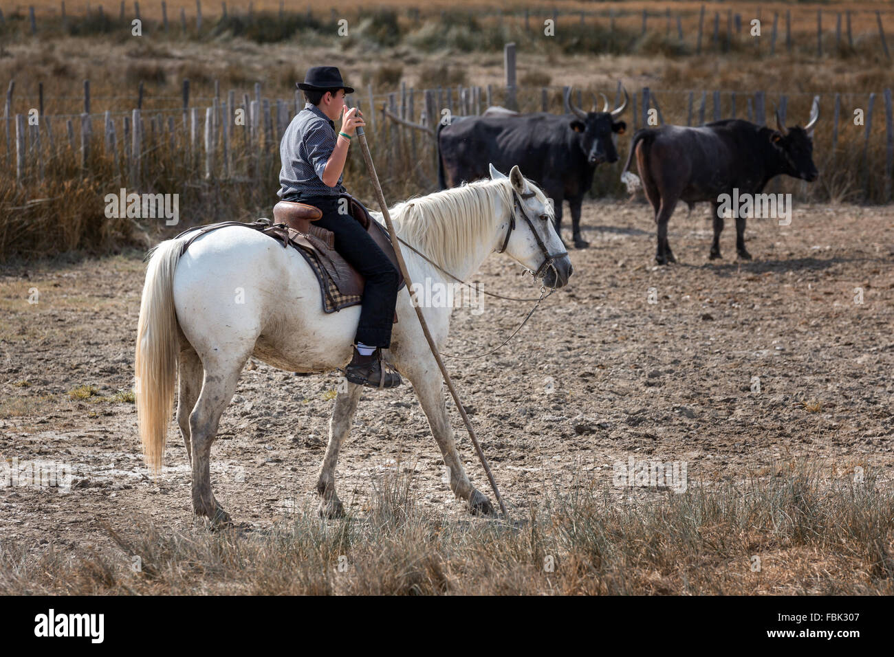 Ein junger französischer Guardian auf Pferd, die Camargue, Frankreich Stockfoto