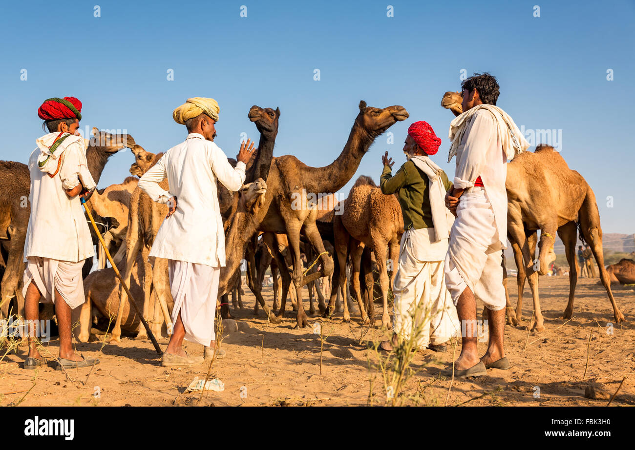 Kamel Händler besprechen sich während der jährliche Pushkar Camel Fair, Rajasthan Indien Stockfoto