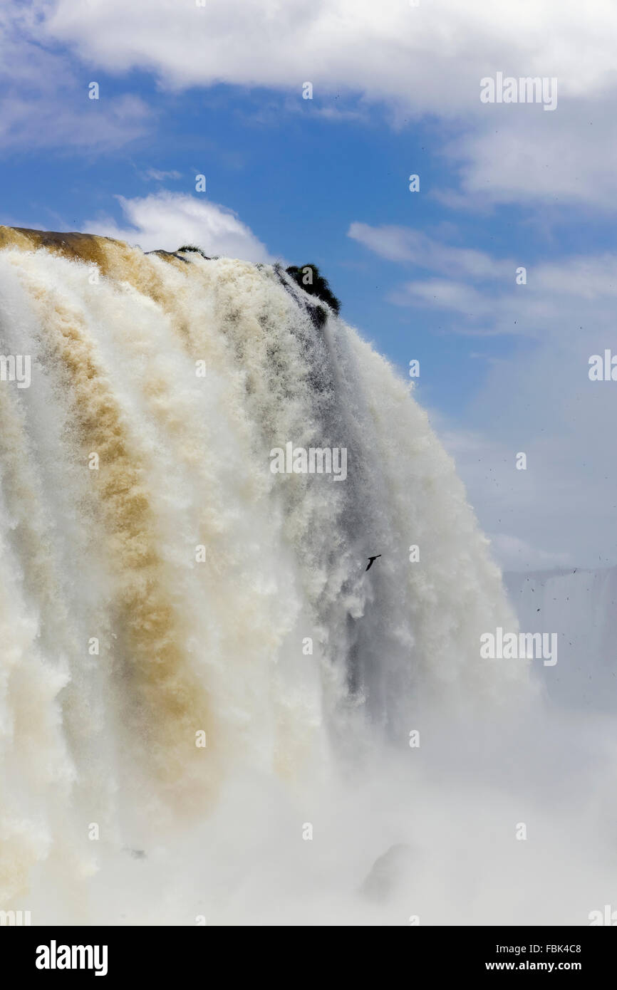 Die Nebel von Foz do Iguaçu mit altrosa Mauersegler, Blick von der Seite von Brasilien auf der argentinischen Seite Stockfoto
