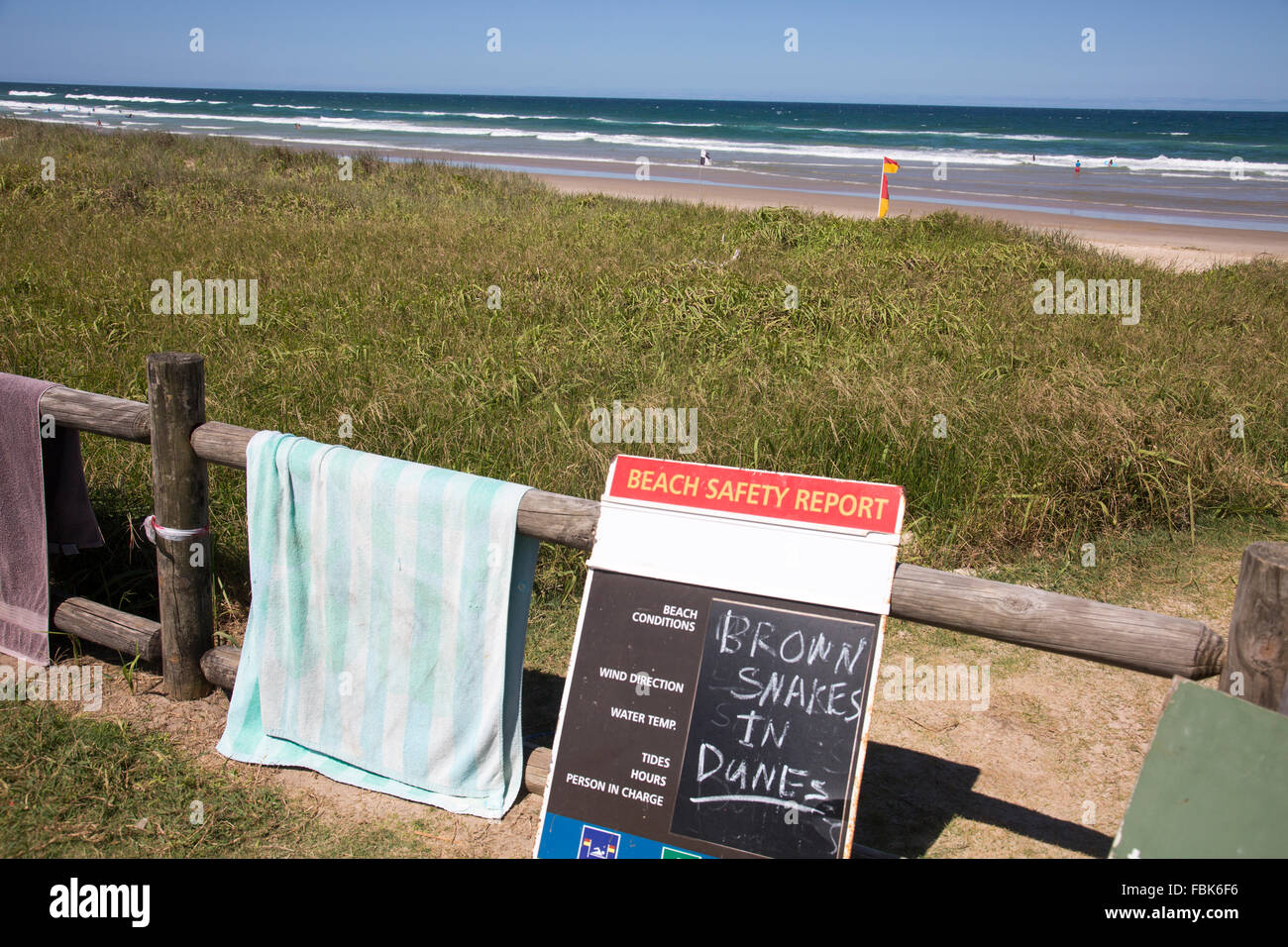 Strand-Sicherheit-Bericht warnt vor Brown Schlangen in Sanddünen am Lennox Head sieben Meile Strand, New-South.Wales, Australien Stockfoto