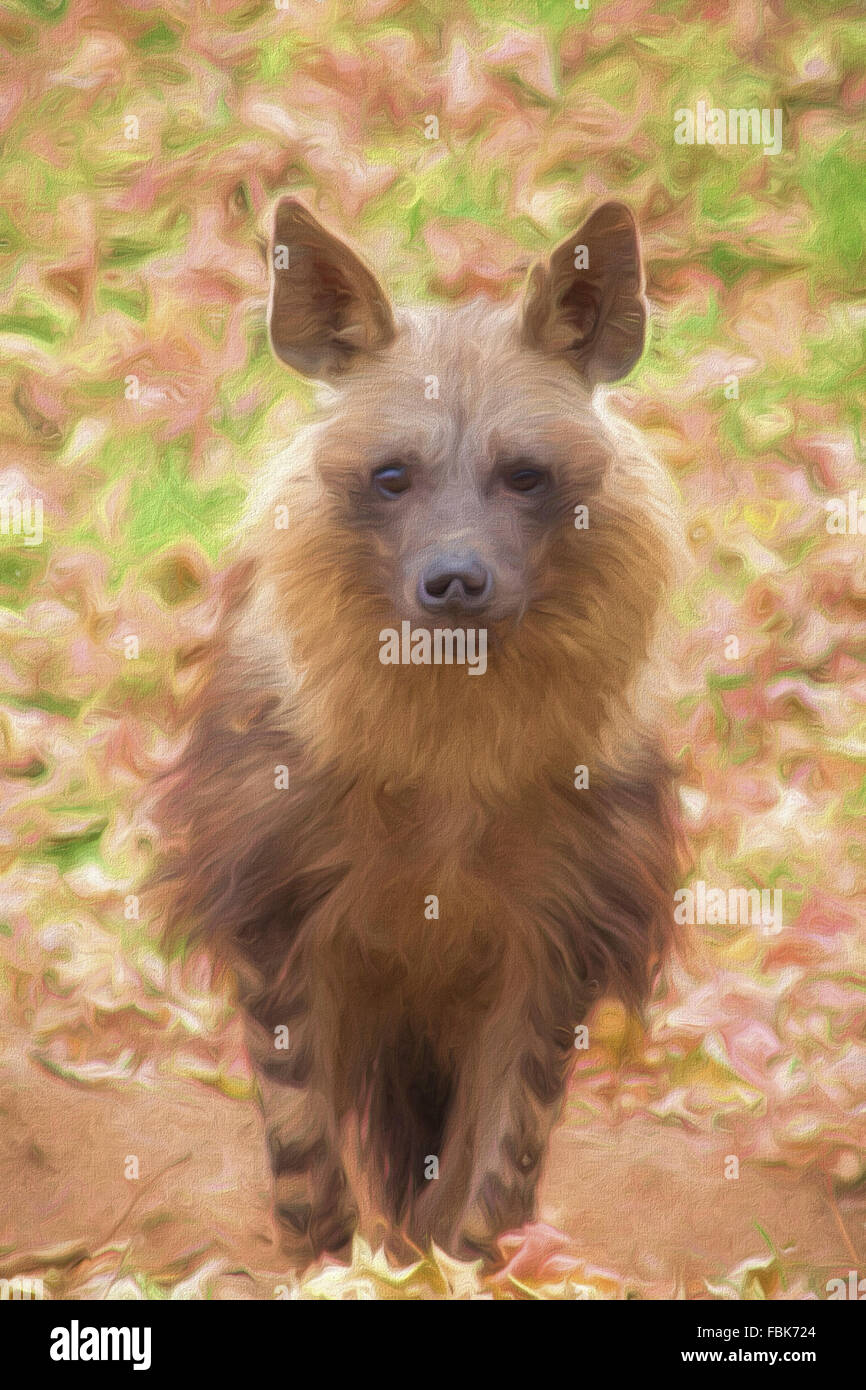 Wilden Hyäne digitale Malerei im impressionistischen Stil Stockfoto