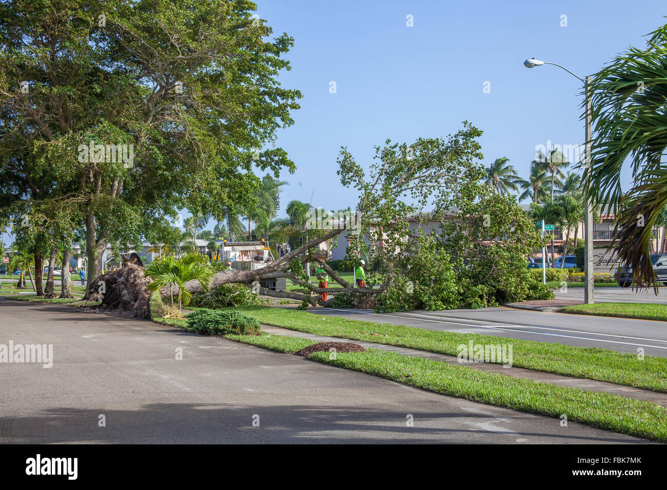 Naples, Florida, USA. 17. Januar 2016. Sturmschäden und sauber bis in Südwest Florida. Tornado-Schäden. Bildnachweis: Jon Kreider/Alamy Live-Nachrichten Stockfoto