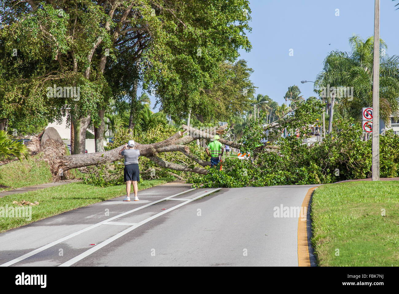 Naples, Florida, USA. 17. Januar 2016. Sturmschäden und sauber bis in Südwest Florida. Tornado-Schäden. Bildnachweis: Jon Kreider/Alamy Live-Nachrichten Stockfoto