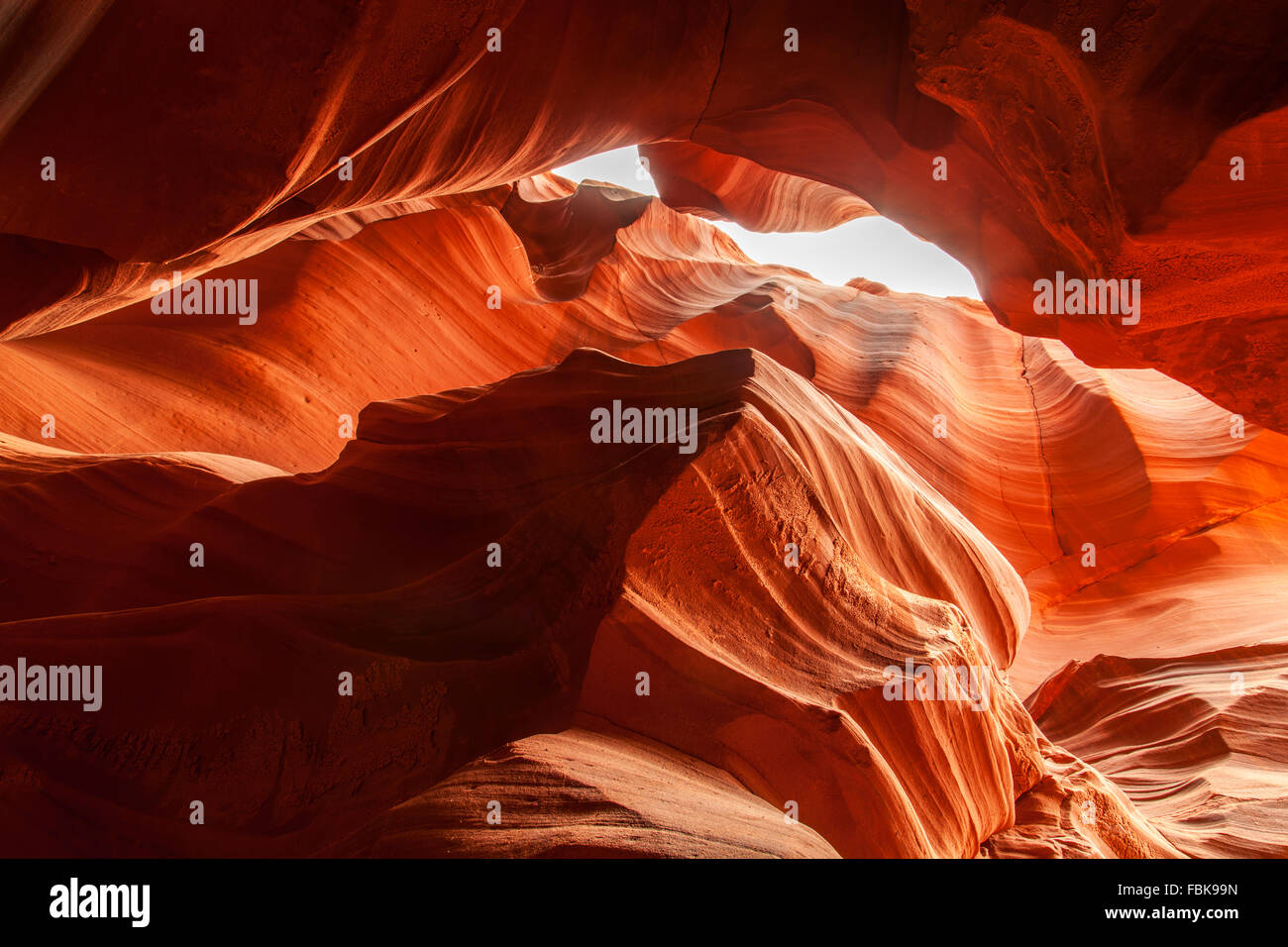 Die Howling Wolf Rock im Upper Antelope Canyon, Page, Arizona Stockfoto
