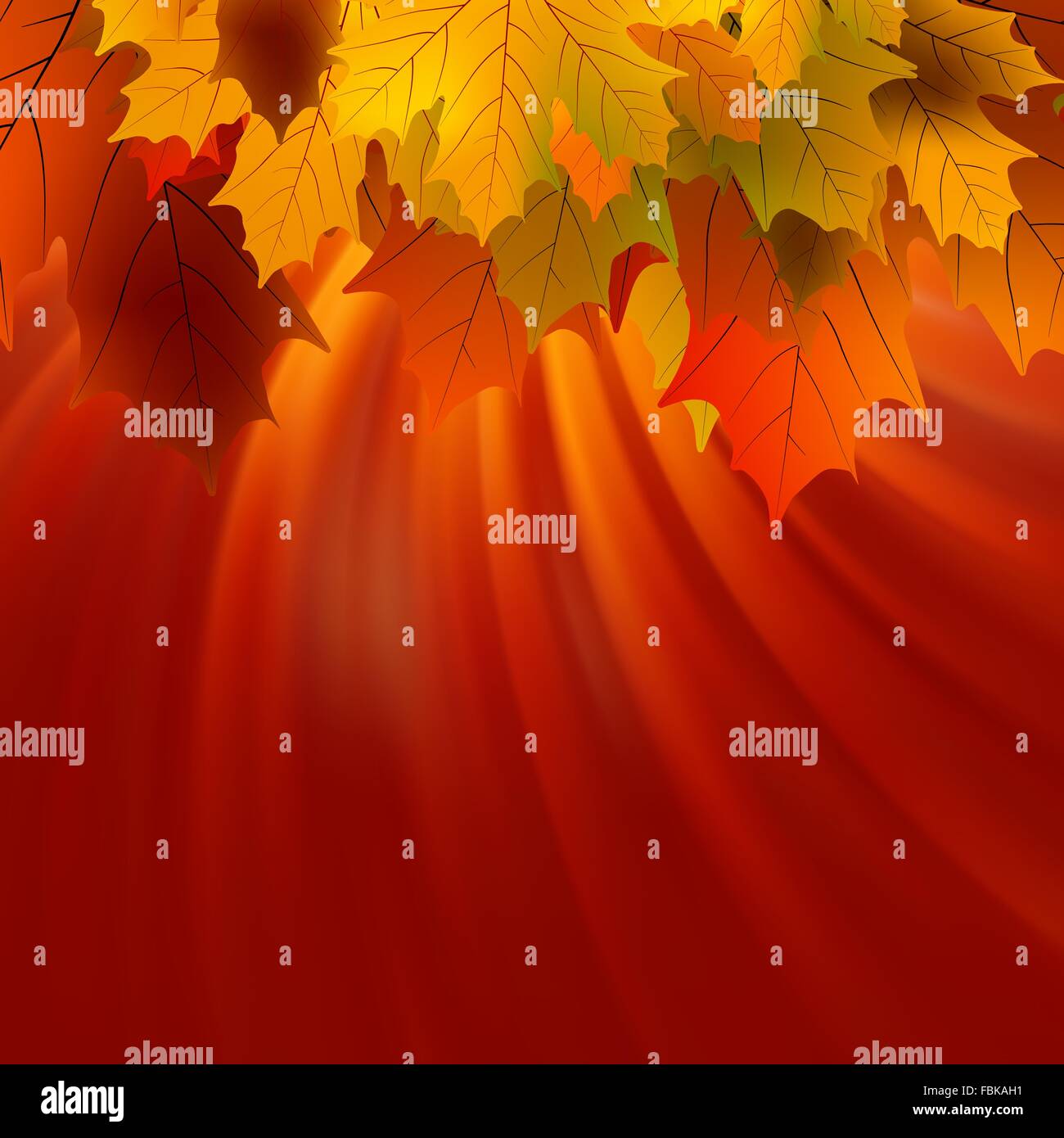 Herbst Blätter von Ahorn und Sonnenlicht. EPS 8 Stock Vektor