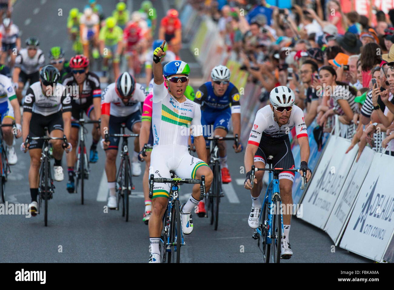 Adelaide, Australien. 17. Januar 2016. Junge australische sprint Empfindung, Caleb Ewan (Orica grüner Rand) der Volksrepublik Choice Classic in Adelaides Ostende herausgenommen hat die Trennungslinie von Giacomo Nizzolo (Trek Segafredo) und Adam Blythe (Tinkoff). Peoples Choice Classic Street Race, Tour Down Under. (Credit: Gary Francis über ZUMA Draht) Bildnachweis: ZUMA Press, Inc./Alamy Live-Nachrichten Stockfoto