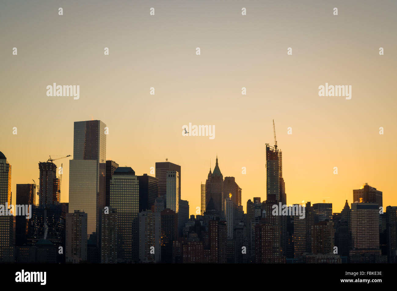 Ein einsamer Silhouette Vogel fliegt über den Wolkenkratzern des Financial District, NYC, bei Sonnenaufgang Stockfoto