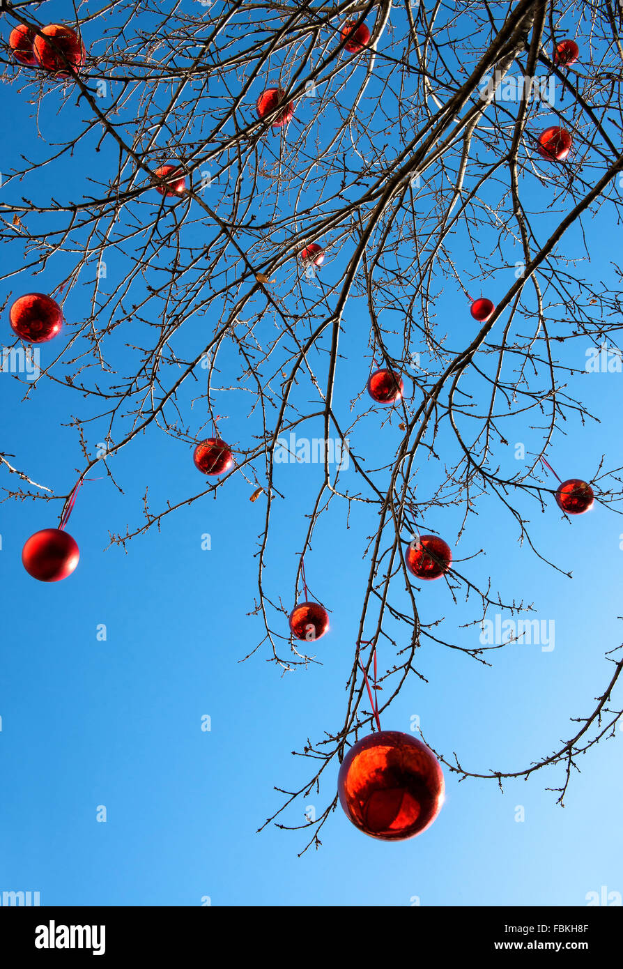 Outdoor-geschmückter Weihnachtsbaum Stockfoto