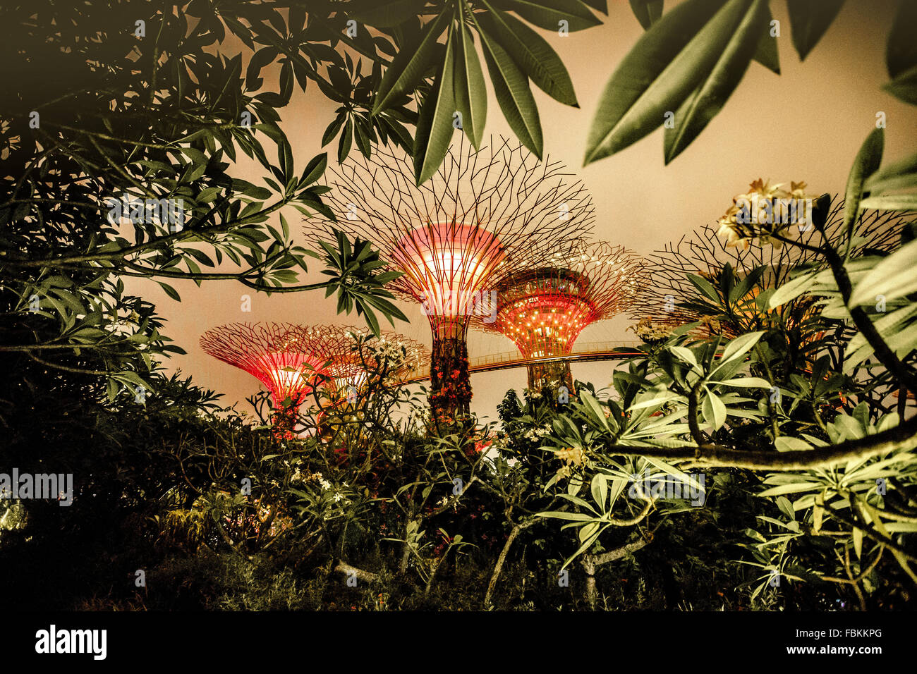 Botanischer Garten, Singapur Stockfoto