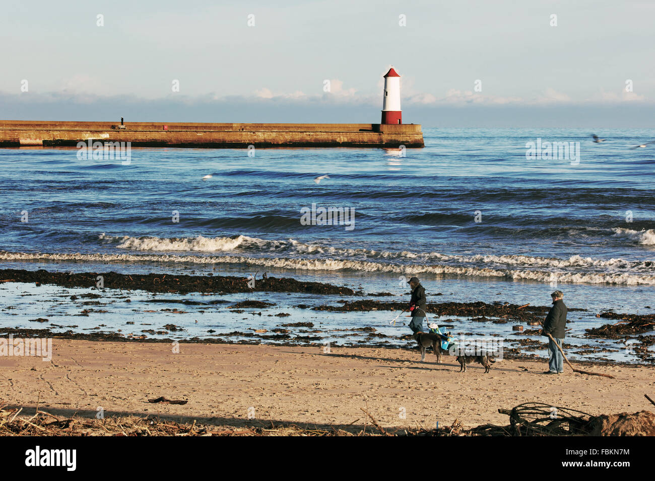 Menschen, die Abholung Treibholz. Berwick-upon-Tweed Stockfoto