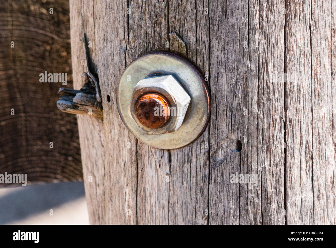 Ein rostiges Metall Schraube mit Sechskantmutter und Unterlegscheibe in verwitterten alten grauen Holz Post eingebettet. Stockfoto